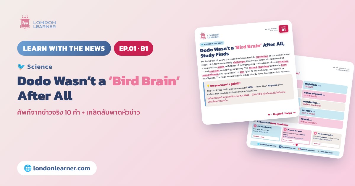 Learn with the News EP.01 Dodo Wasn’t a ‘Bird Brain’ After All, Study Finds